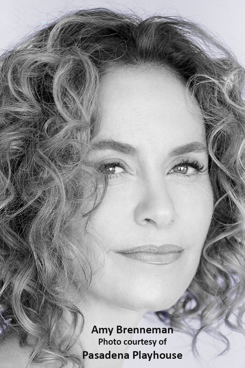 Interview: Amy Brenneman Is At Home Sharing THE SOUND INSIDE Image