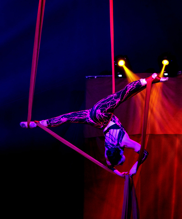 Photos: Do Portugal Circus Begins Staten Island Residency Through September 17 Image