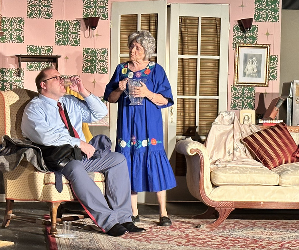 Photos: First Look At COME BACK, LITTLE SHEBA At Haines City Theatre Image