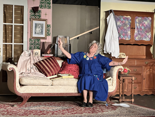 Photos: First Look At COME BACK, LITTLE SHEBA At Haines City Theatre Image