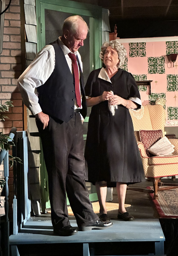 Photos: First Look At COME BACK, LITTLE SHEBA At Haines City Theatre Image