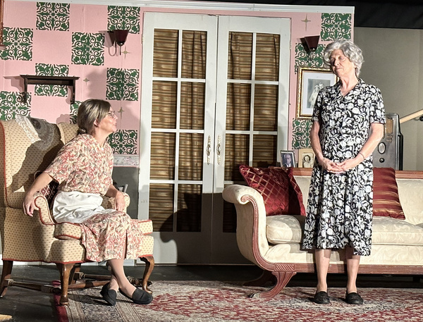 Photos: First Look At COME BACK, LITTLE SHEBA At Haines City Theatre Image