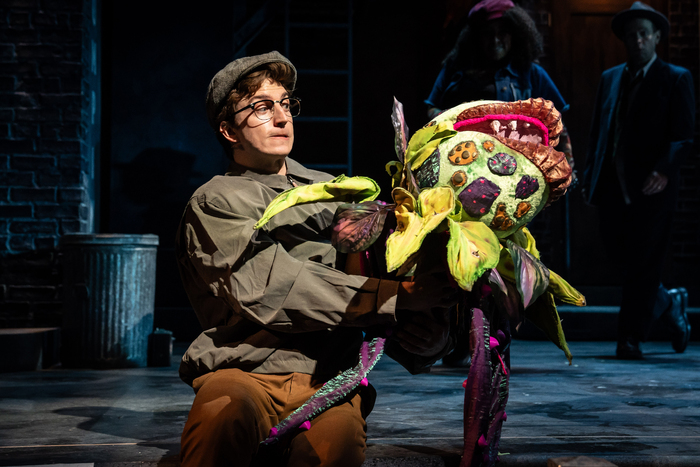 Photos: First Look at Paramount Theatre's LITTLE SHOP OF HORRORS Image