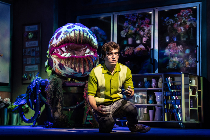 Photos: First Look at Paramount Theatre's LITTLE SHOP OF HORRORS Image