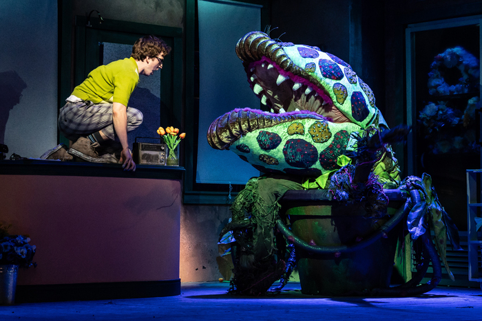 Photos: First Look at Paramount Theatre's LITTLE SHOP OF HORRORS Image