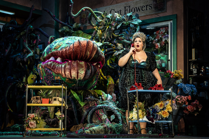 Photos: First Look at Paramount Theatre's LITTLE SHOP OF HORRORS Image