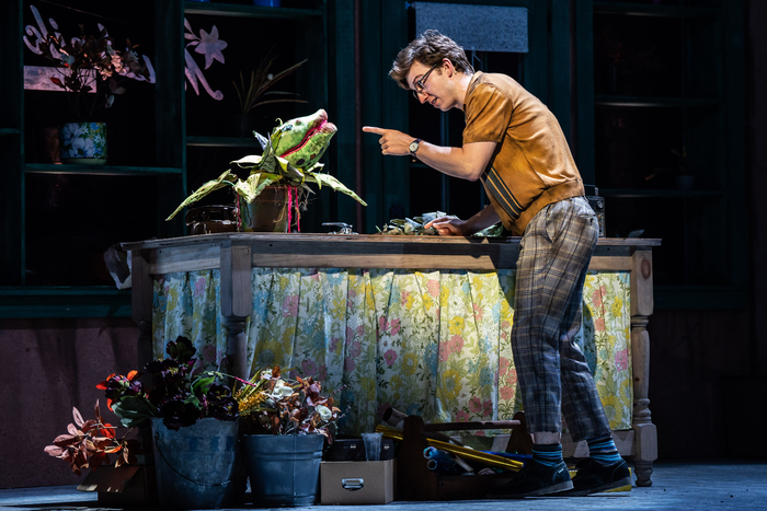 Photos: First Look at Paramount Theatre's LITTLE SHOP OF HORRORS Image