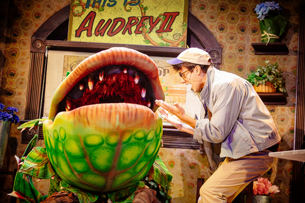 Photos: First Look at LITTLE SHOP OF HORRORS at The Encore Image