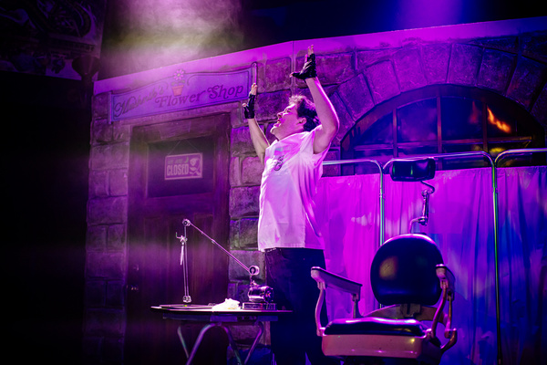 Photos: First Look at LITTLE SHOP OF HORRORS at The Encore Image