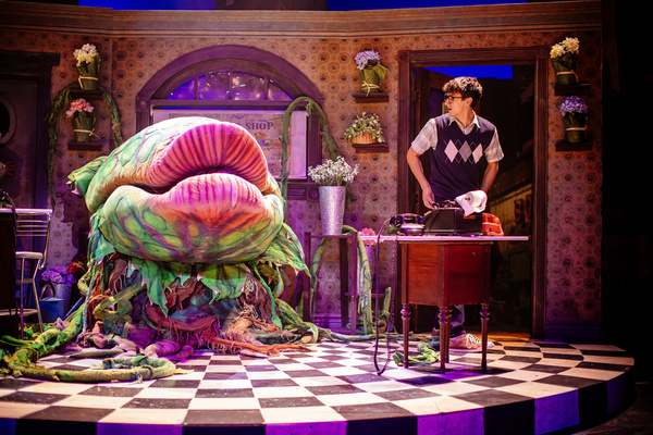 Photos: First Look at LITTLE SHOP OF HORRORS at The Encore Image