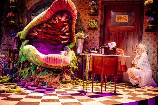 Photos: First Look at LITTLE SHOP OF HORRORS at The Encore Image