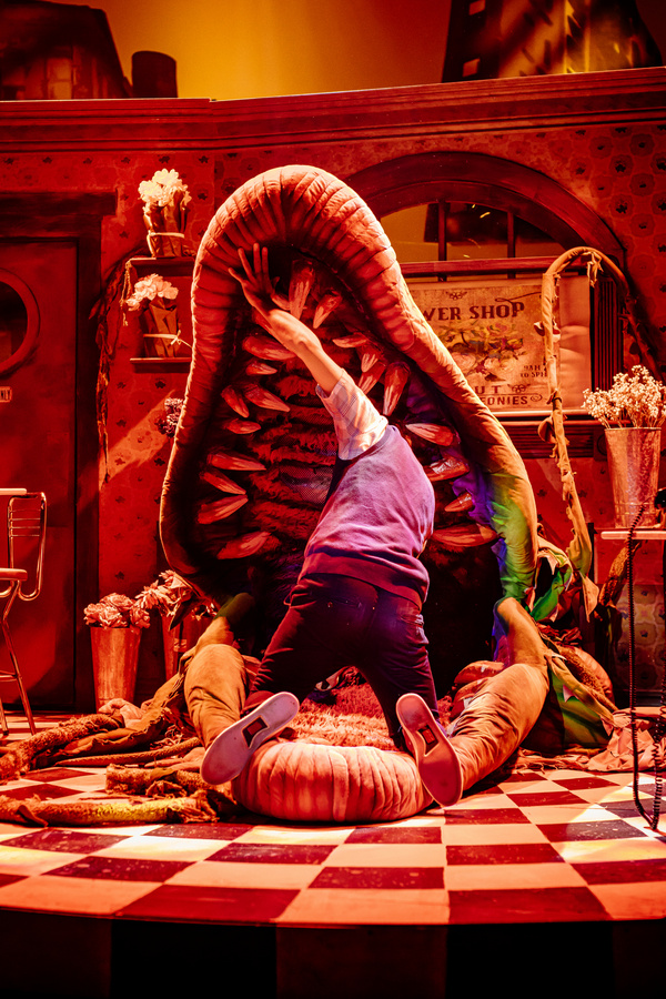 Photos: First Look at LITTLE SHOP OF HORRORS at The Encore Image