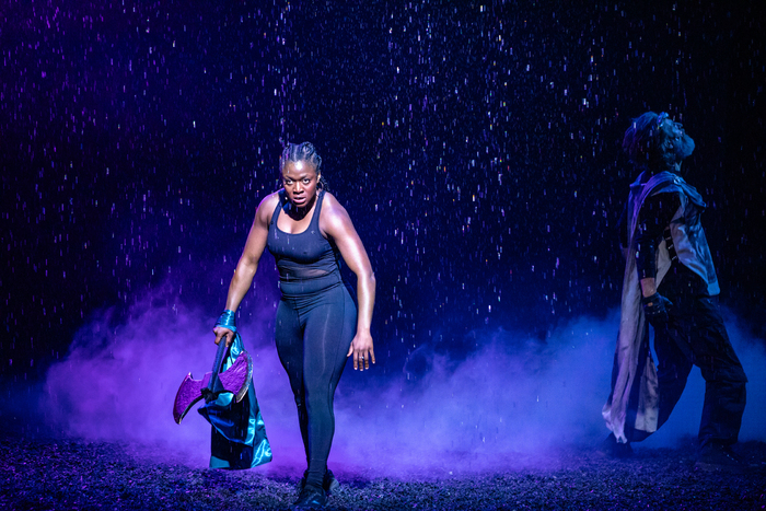 Photos: First Look at THE HALF-GOD OF RAINFALL at American Repertory Theater Image