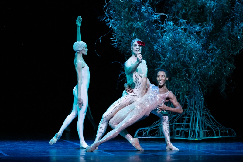 Interview: Chase O'Connell Shares the Spectacle That We Can Look Forward to in Houston Ballet's MIDSUMMER NIGHT'S DREAM Image