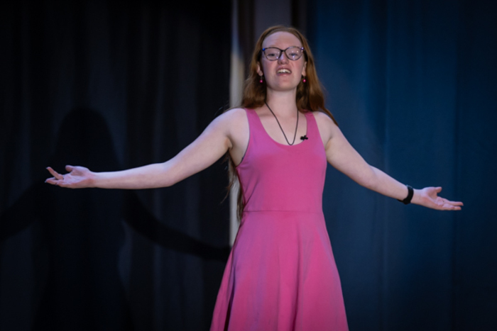 Photos: First look at Rise Up Art Alliance Community Theatre's THE DAY ALIENS ATTACKED FAIRFIELD Image