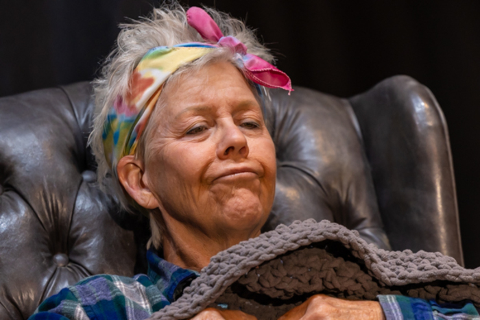 Photos: First look at Rise Up Art Alliance Community Theatre's THE DAY ALIENS ATTACKED FAIRFIELD Image