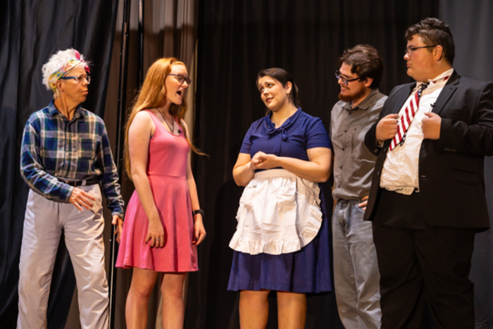 Photos: First look at Rise Up Art Alliance Community Theatre's THE DAY ALIENS ATTACKED FAIRFIELD Image