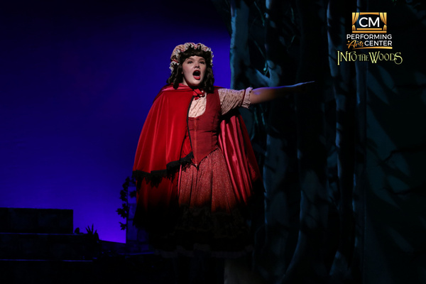 Photos: First Look at CM Performing Arts Presents: INTO THE WOODS 