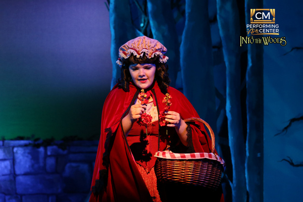 Photos: First Look at CM Performing Arts Presents: INTO THE WOODS Image
