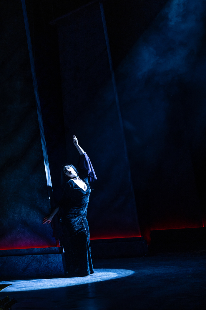 Photos: First Look at Metropolis Performing Arts Centre's THE ADDAMS FAMILY Image
