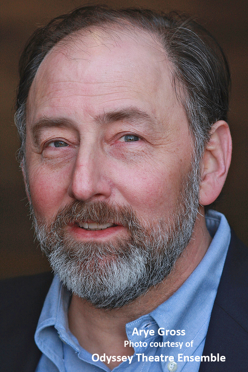 Interview: Arye Gross Watching BIRDS OF NORTH AMERICA & More Image