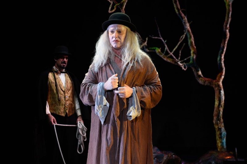 Review: Samuel Beckett's WAITING FOR GODOT at STNJ is an Exceptional Theatrical Experience Image