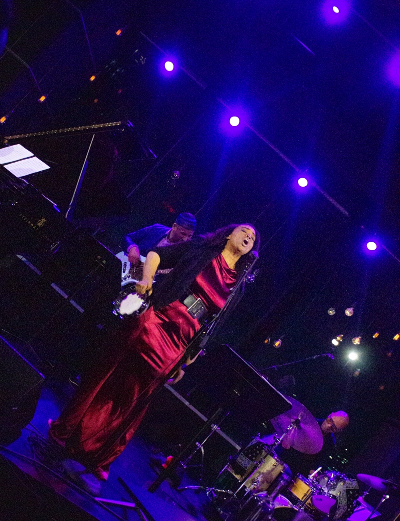 Review: Viral Social Media STARR Sings Her Music Live At Dizzy's Club Introducing Her New Album DARA STARR TUCKER Image