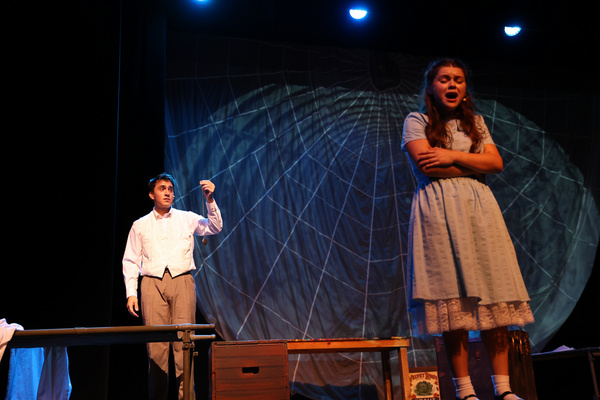 Photos: Last Two Chances To Catch The Central NY Pilot Premier Of ALICE BY HEART 