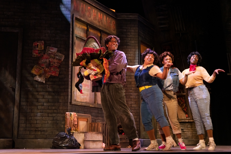 Review: Feed Us More of Arts Club's LITTLE SHOP OF HORRORS! Image