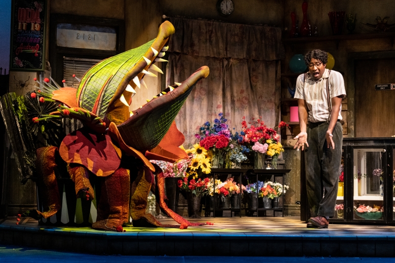 Review: Feed Us More of Arts Club's LITTLE SHOP OF HORRORS! Image