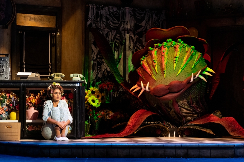 Review: Feed Us More of Arts Club's LITTLE SHOP OF HORRORS! Image