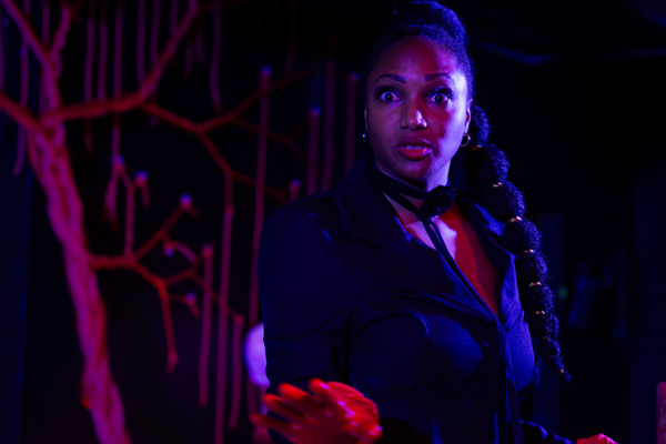 Photos: First Look at Redtwist Theatre's WOLVES Image