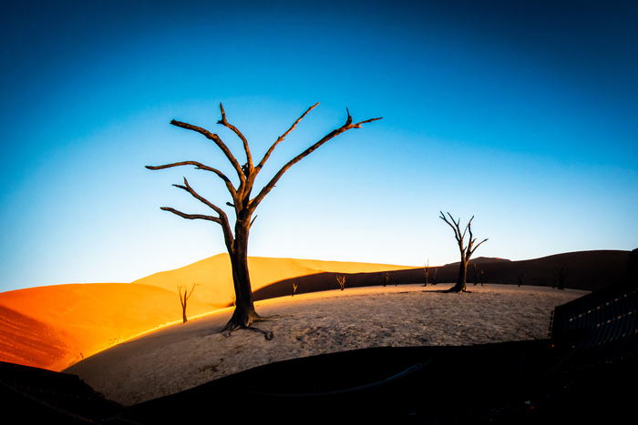 Photos: First Look at Darren Aronofsky's POSTCARDS FROM EARTH at Sphere Image