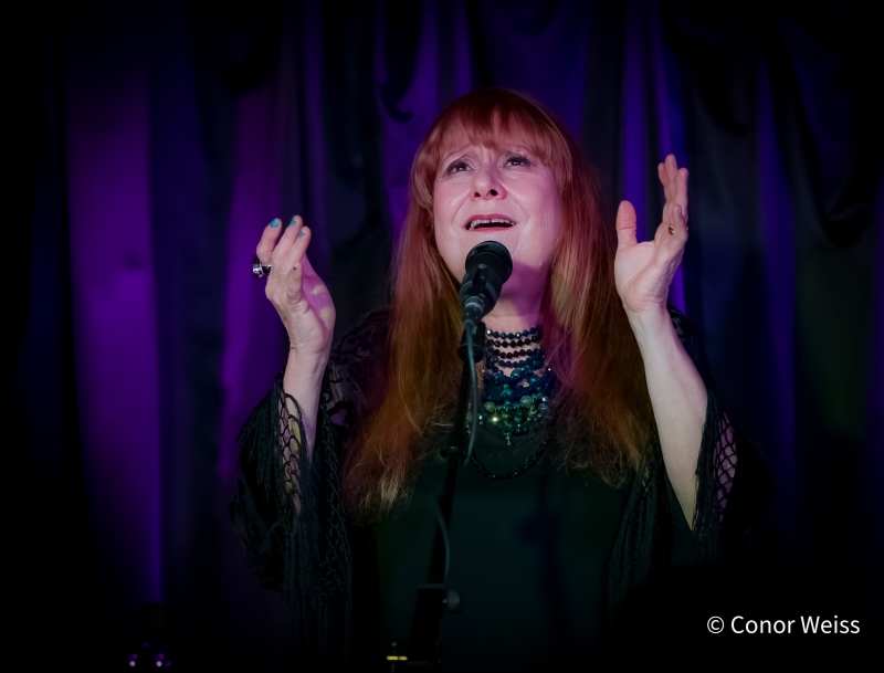 Photos: Carol Lipnik Offers Original Music In THROW DOWN A FEATHER FOR ME at Pangea Image