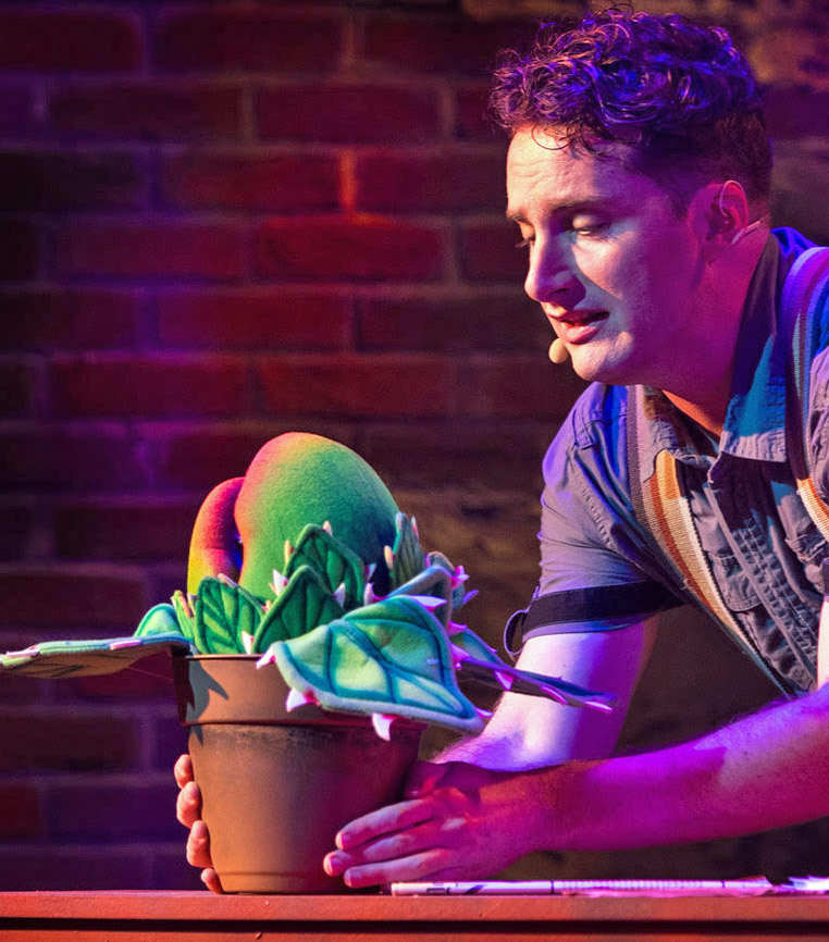 Review: LITTLE SHOP OF HORRORS at Theatre In The Park (Indoors) Image