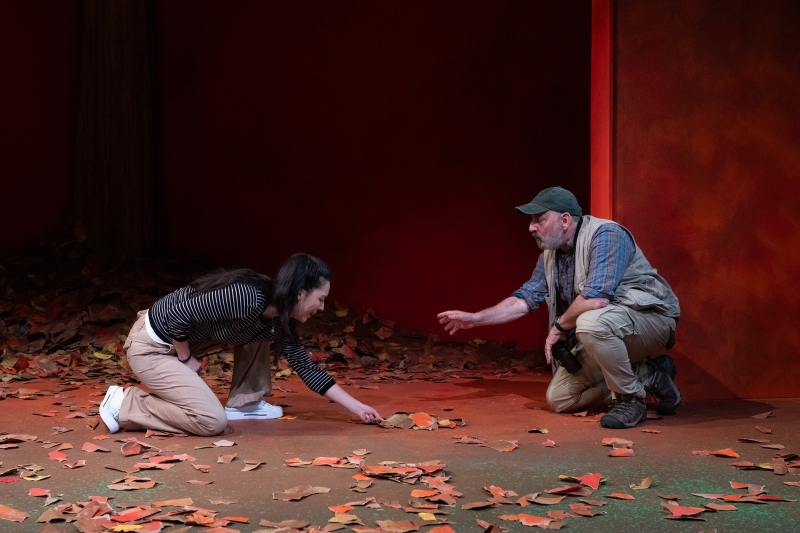 Review: BIRDS OF NORTH AMERICA at Odyssey Theatre Image