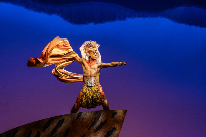 Photos: Get a First Look at THE LION KING's New Simba, Vincent Jamal Hooper Image