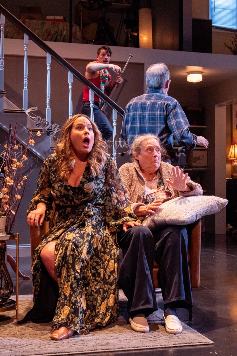 Review: THE CHAMELEON at Theater J Image