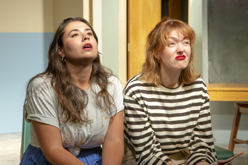 Previews: THE THANKSGIVING PLAY at Dezart Performs Image