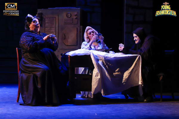 Photos: First Look At CM Performing Arts Presents Mel Brooks' YOUNG FRANKENSTEIN Image
