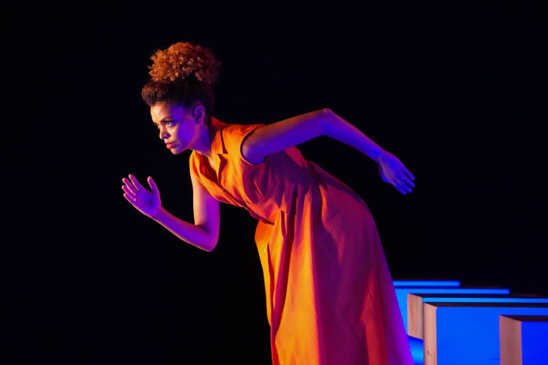 Review: HOPEBOYKINDANCE Presents STATES OF HOPE At The Joyce Theater Image