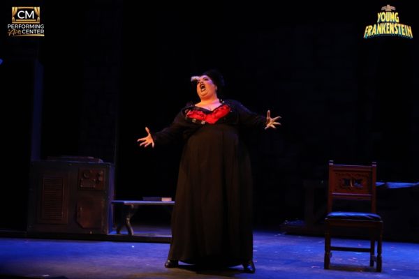 Review: 'If You're Blue and You Don't Know Where To Go To Why Don't You Go' to CMPAC's YOUNG FRANKENSTEIN 