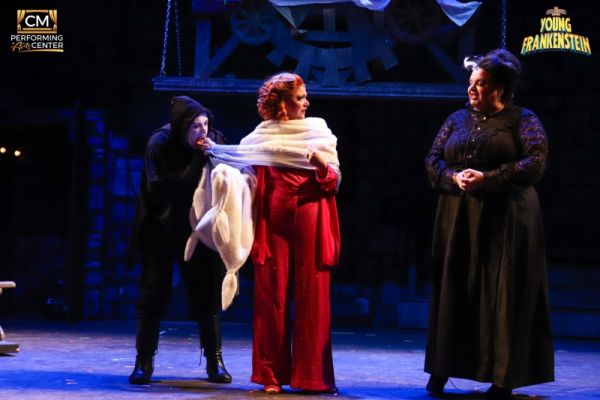 Review: 'If You're Blue and You Don't Know Where To Go To Why Don't You Go' to CMPAC's YOUNG FRANKENSTEIN 