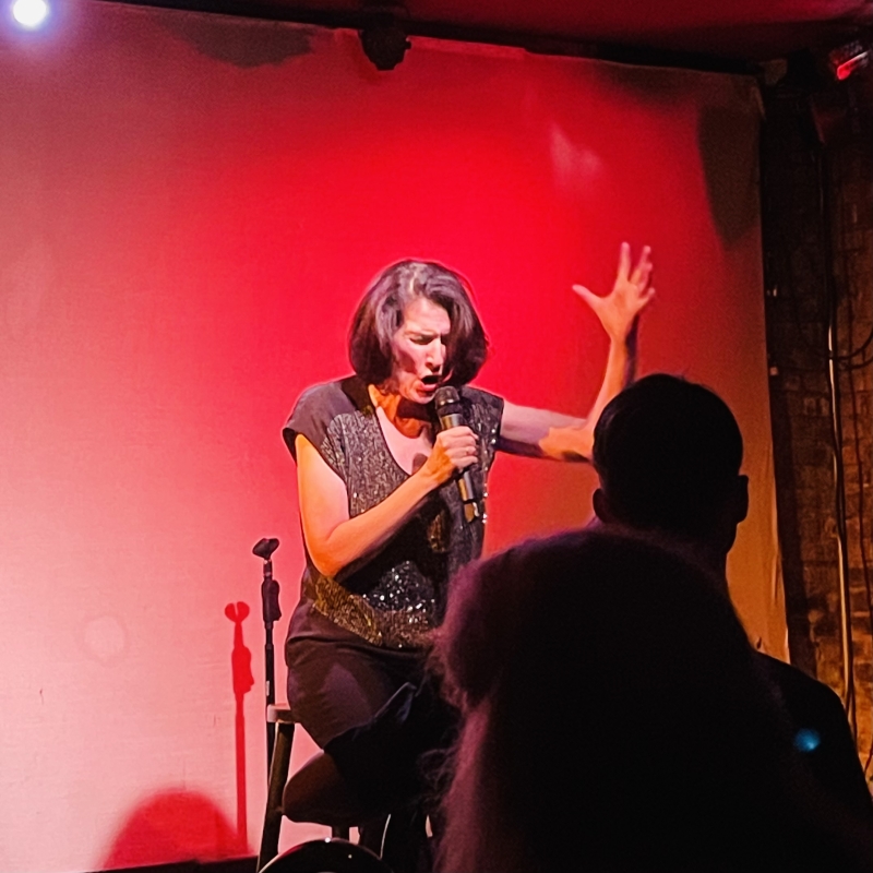 Review: Meg Flather's HAMMERSTEIN AND SONDHEIM: CAREFULLY TAUGHT A Tour-De-Force Performance At Don't Tell Mama Image
