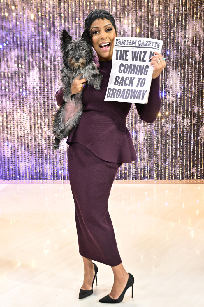Video/Photos: THE WIZ Cast Performs 'Ease on Down the Road' For Tamron Hall's Halloween Episode Image