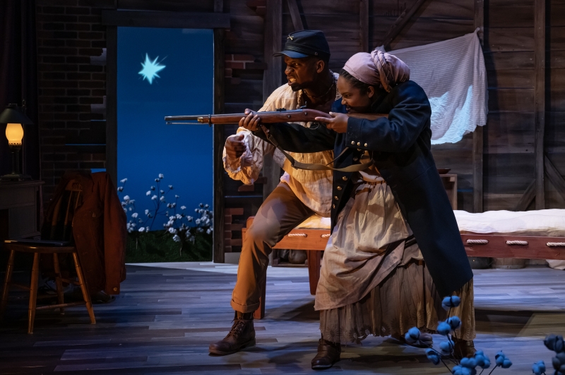 Review: CONFEDERATES at Mosaic Theater Company Image