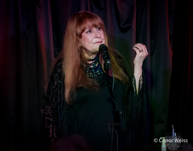 Photos: Carol Lipnik Offers Original Music In THROW DOWN A FEATHER FOR ME at Pangea Image