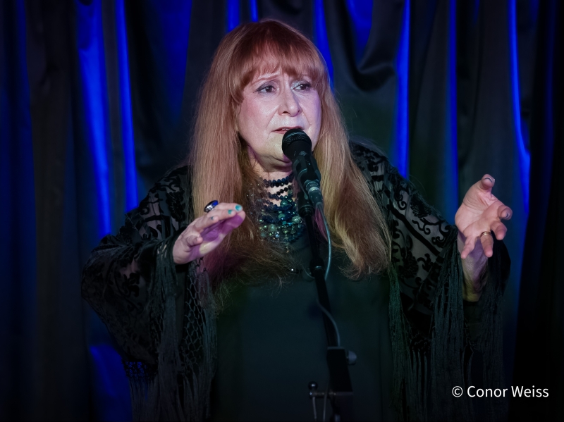 Photos: Carol Lipnik Offers Original Music In THROW DOWN A FEATHER FOR ME at Pangea Image