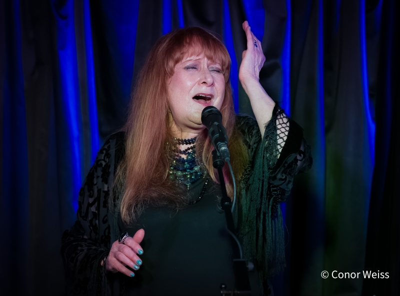 Photos: Carol Lipnik Offers Original Music In THROW DOWN A FEATHER FOR ME at Pangea Image
