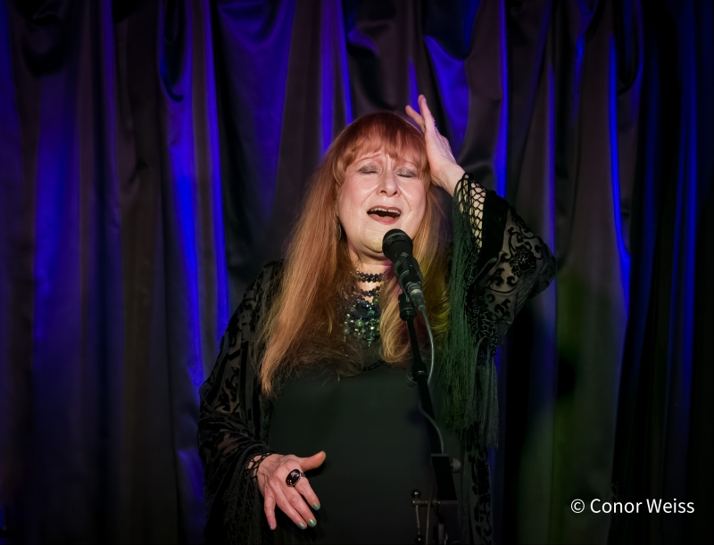 Photos: Carol Lipnik Offers Original Music In THROW DOWN A FEATHER FOR ME at Pangea Image